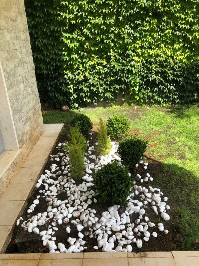 Acacia Hill A3 Daire Ðenovići Dış mekan fotoğraf